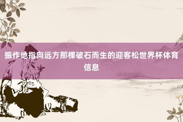 振作地指向远方那棵破石而生的迎客松世界杯体育信息