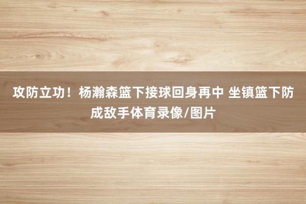 攻防立功！杨瀚森篮下接球回身再中 坐镇篮下防成敌手体育录像/图片