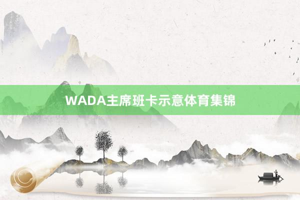 WADA主席班卡示意体育集锦