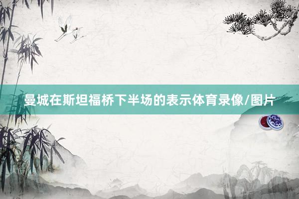 曼城在斯坦福桥下半场的表示体育录像/图片