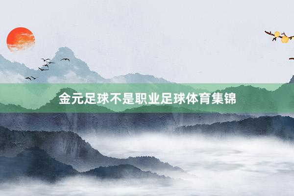 金元足球不是职业足球体育集锦