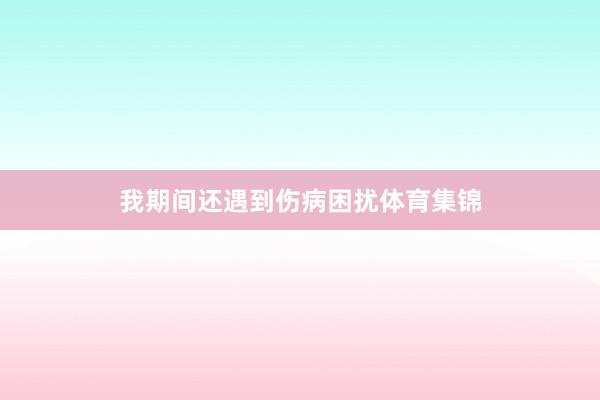我期间还遇到伤病困扰体育集锦