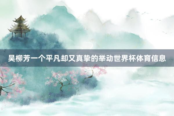 吴柳芳一个平凡却又真挚的举动世界杯体育信息