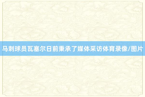 马刺球员瓦塞尔日前秉承了媒体采访体育录像/图片
