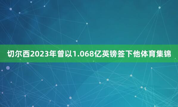 切尔西2023年曾以1.068亿英镑签下他体育集锦