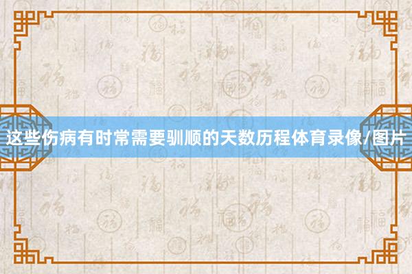 这些伤病有时常需要驯顺的天数历程体育录像/图片